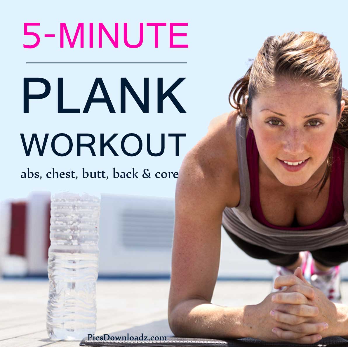 5 Minute Plank Workout For Abs Chest Butt Back Core Infographic